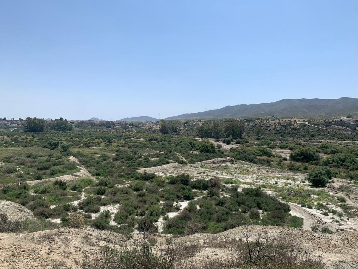 Las Casas Rurales De Los Olivos Tabernas Εξωτερικό φωτογραφία